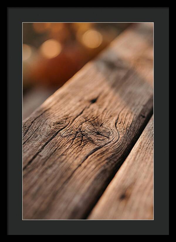 Rustic Wood Texture Closeup