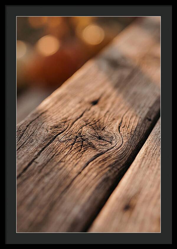 Rustic Wood Texture Closeup