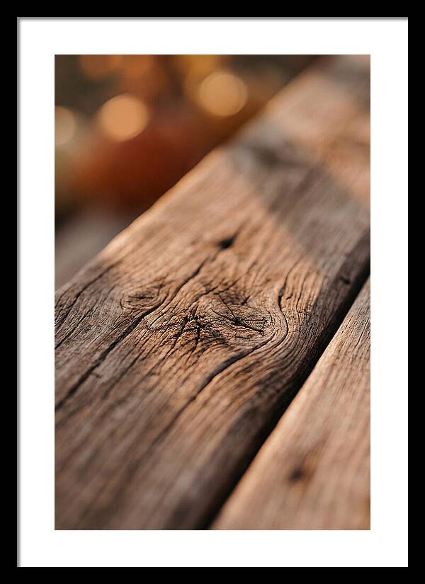 Rustic Wood Texture Closeup