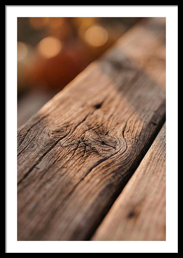 Rustic Wood Texture Closeup