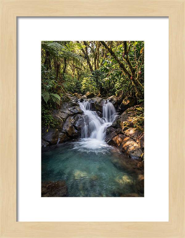Ruta De Las Flores Waterfall