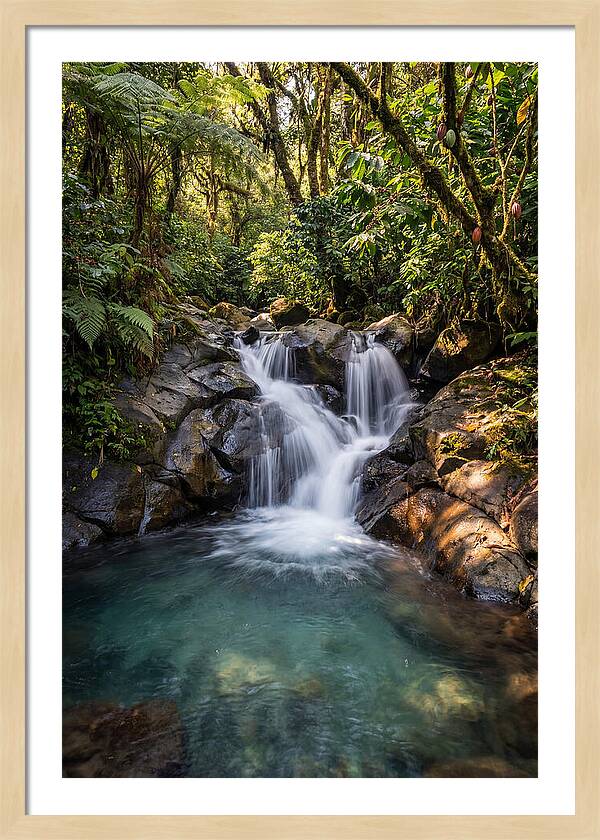 Ruta De Las Flores Waterfall