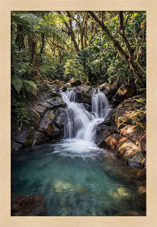 Ruta De Las Flores Waterfall