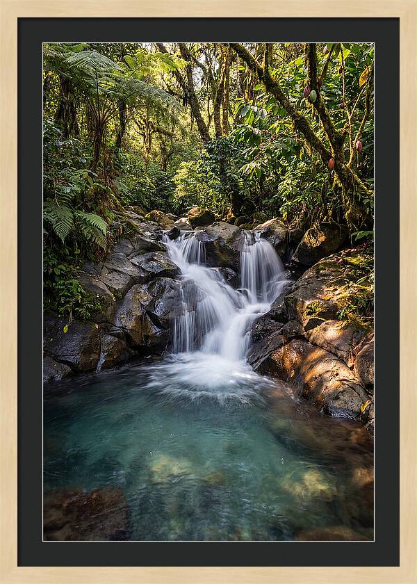 Ruta De Las Flores Waterfall