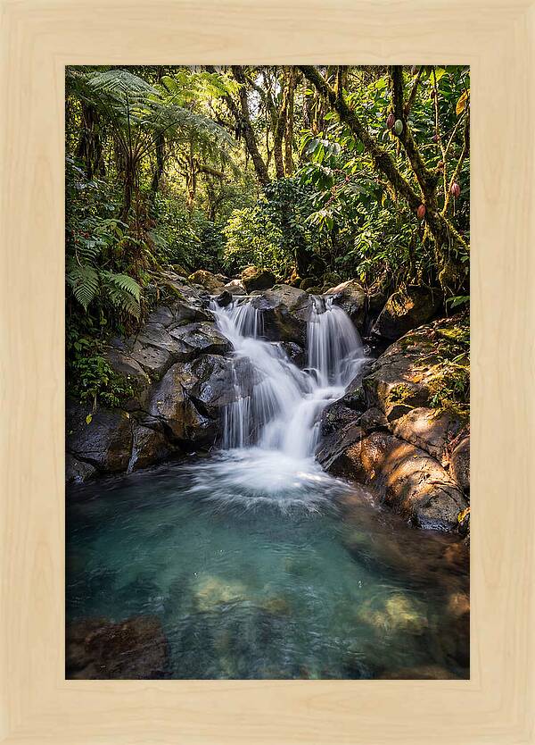Ruta De Las Flores Waterfall