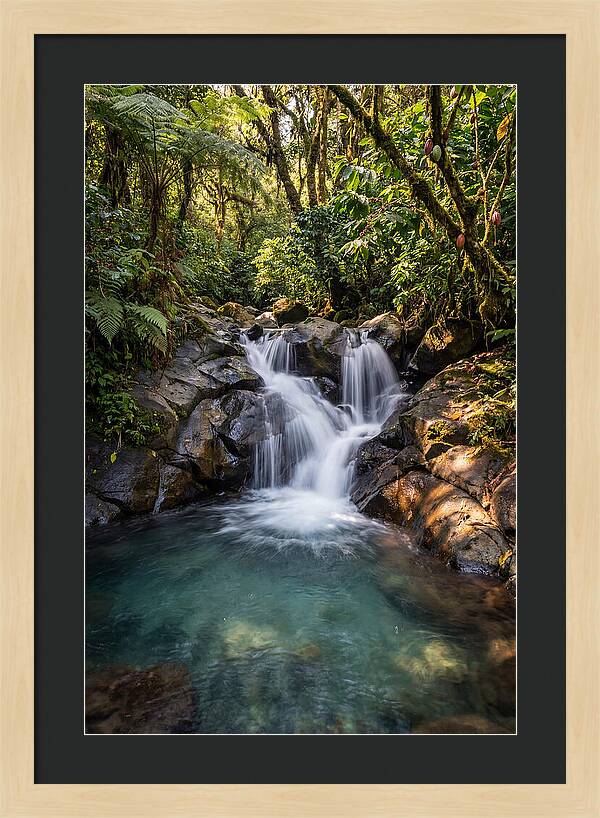 Ruta De Las Flores Waterfall