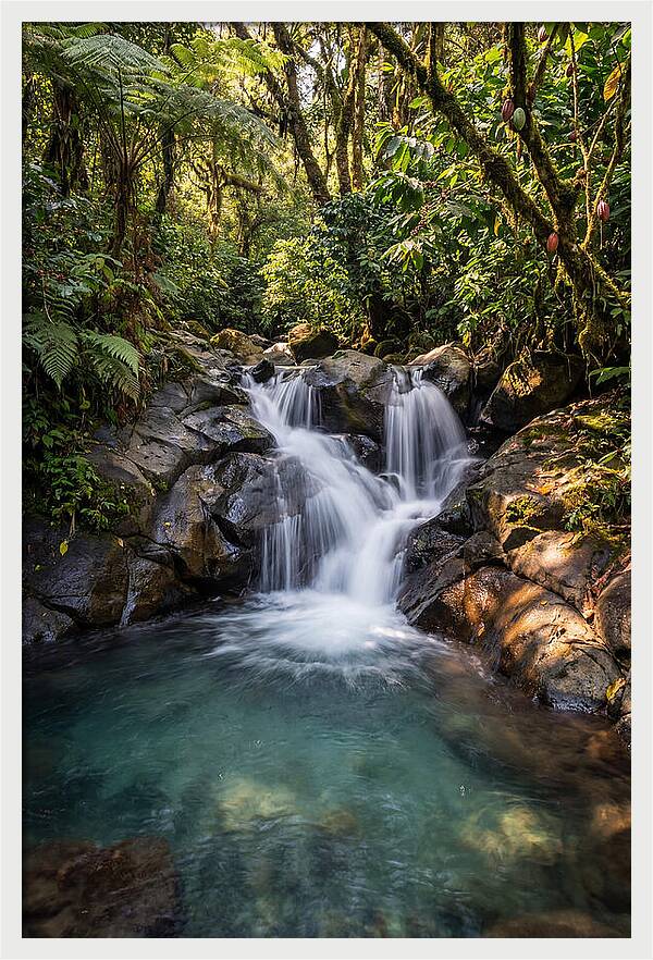 Ruta De Las Flores Waterfall