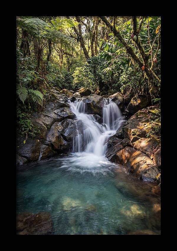 Ruta De Las Flores Waterfall