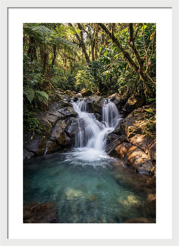 Ruta De Las Flores Waterfall