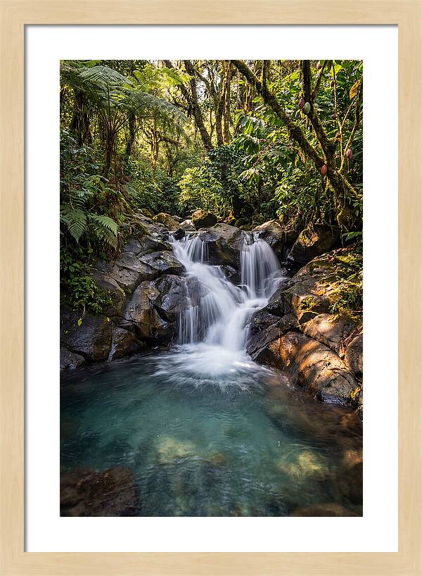Ruta De Las Flores Waterfall