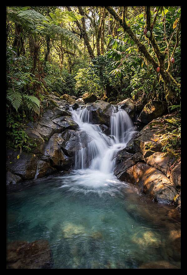 Ruta De Las Flores Waterfall