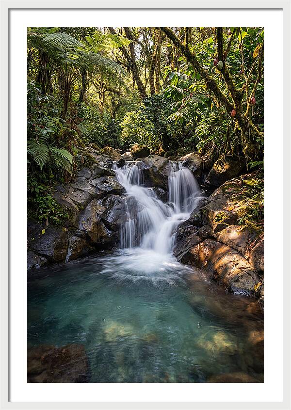 Ruta De Las Flores Waterfall