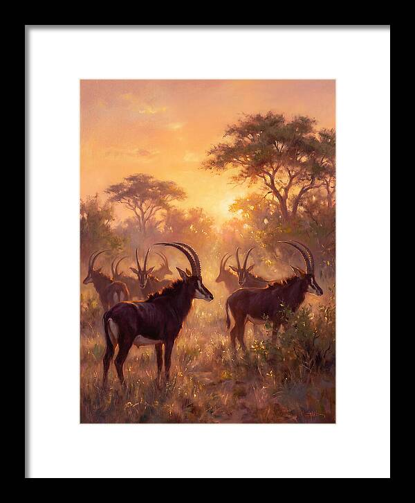 Sable Antelope At Dusk