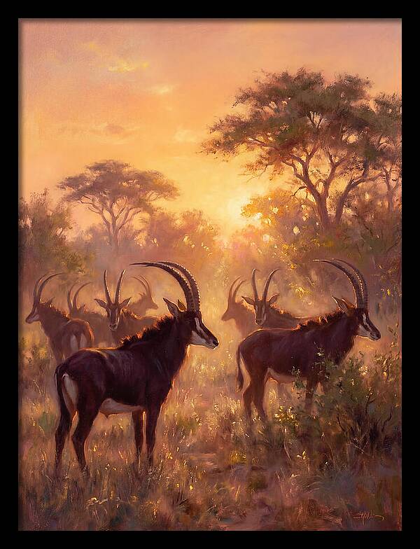 Sable Antelope At Dusk