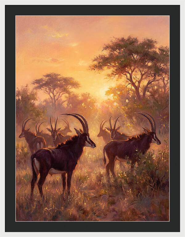 Sable Antelope At Dusk