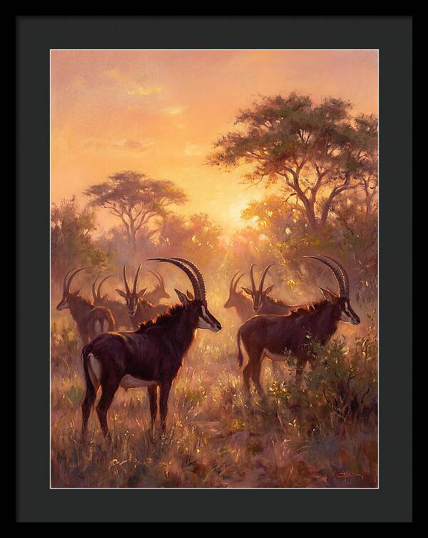Sable Antelope At Dusk