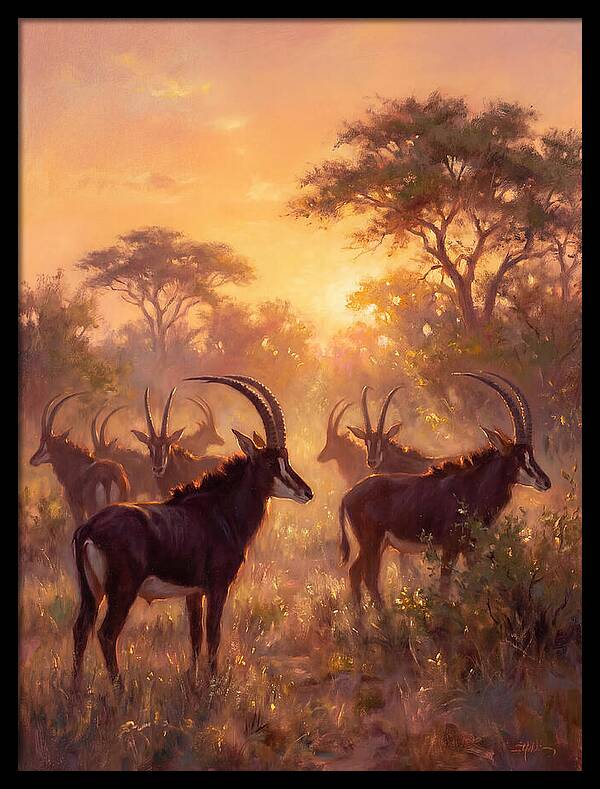 Sable Antelope At Dusk