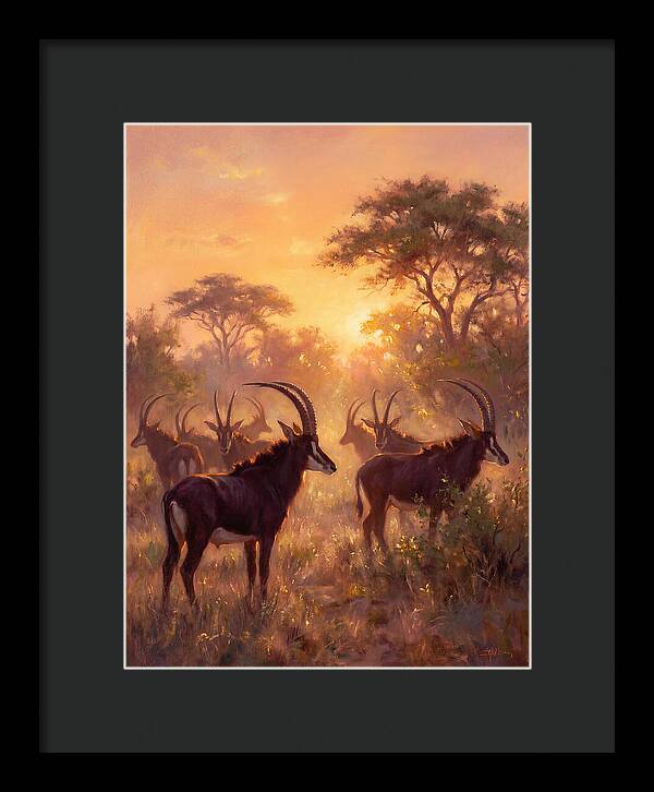 Sable Antelope At Dusk