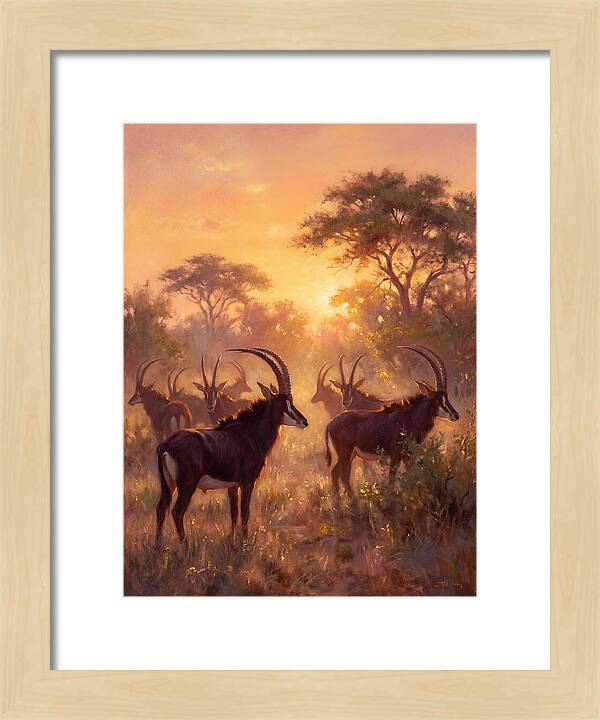 Sable Antelope At Dusk