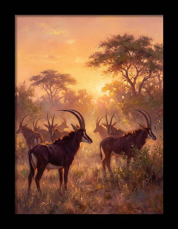 Sable Antelope At Dusk