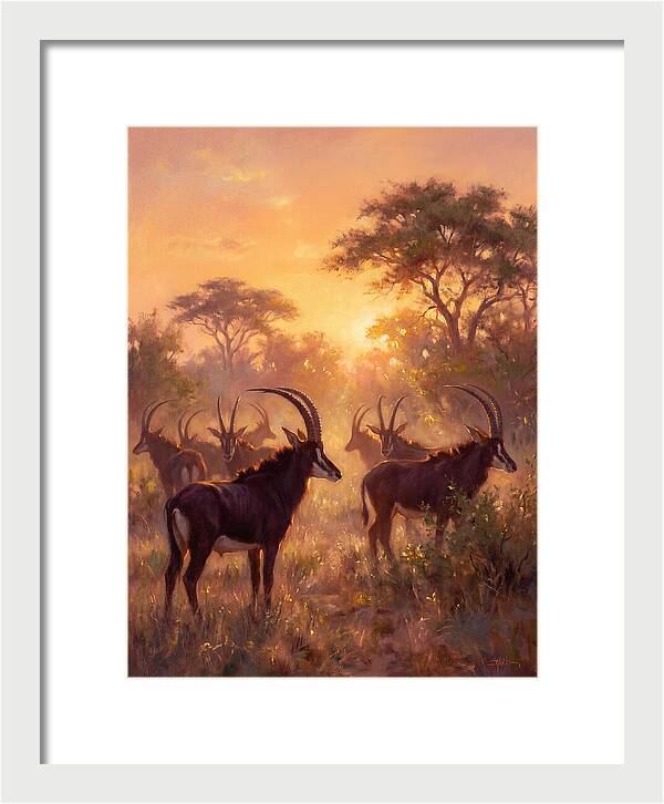 Sable Antelope At Dusk