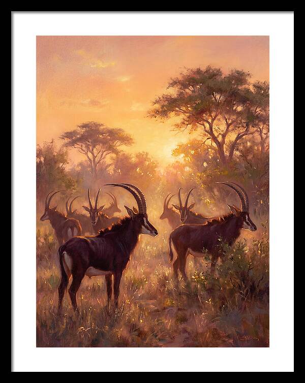 Sable Antelope At Dusk