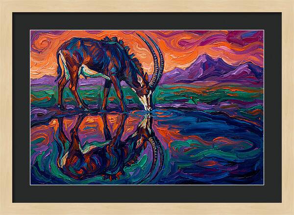 Sable Antelope Reflection