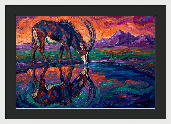 Sable Antelope Reflection