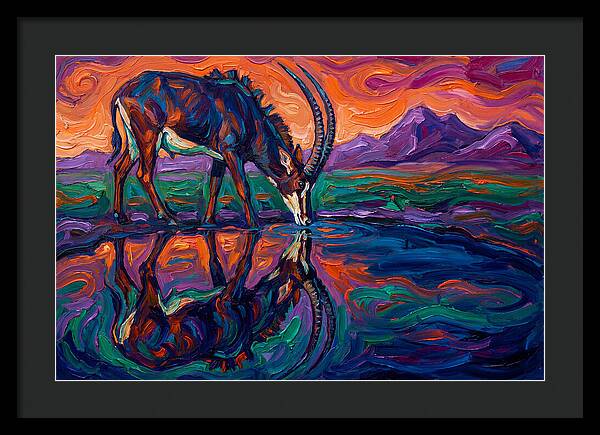 Sable Antelope Reflection