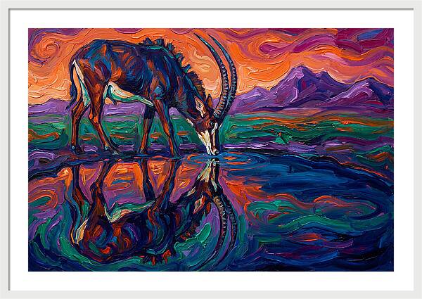 Sable Antelope Reflection