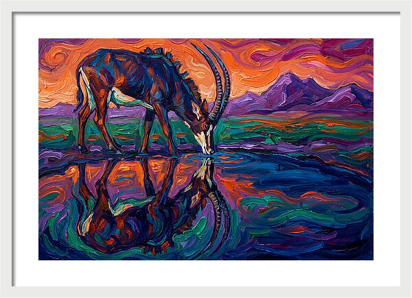 Sable Antelope Reflection