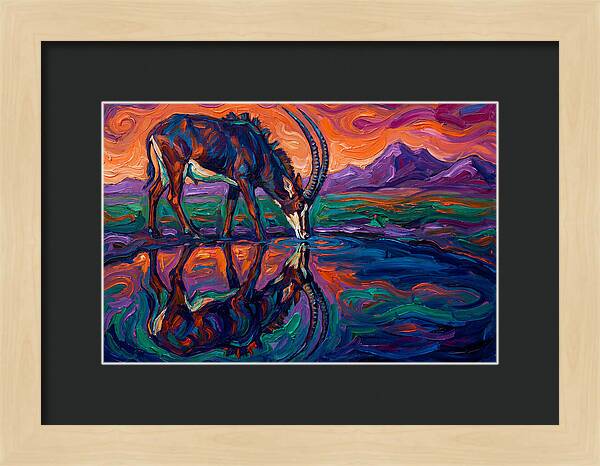 Sable Antelope Reflection