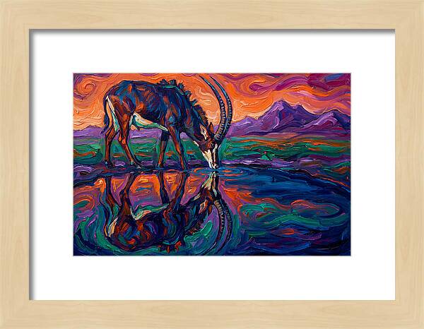 Sable Antelope Reflection