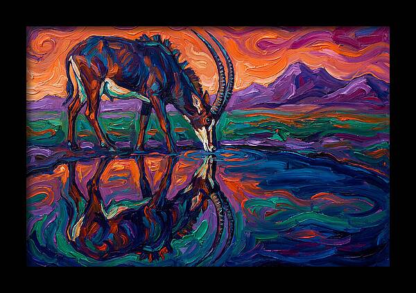 Sable Antelope Reflection