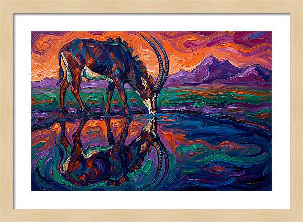 Sable Antelope Reflection