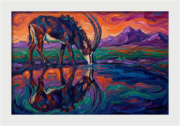 Sable Antelope Reflection