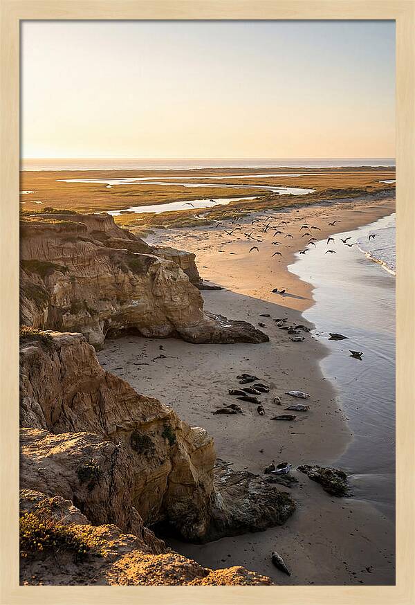 Sachuest Point Serenity