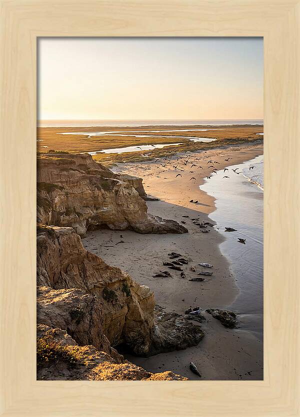 Sachuest Point Serenity