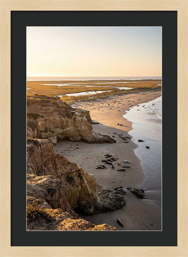 Sachuest Point Serenity