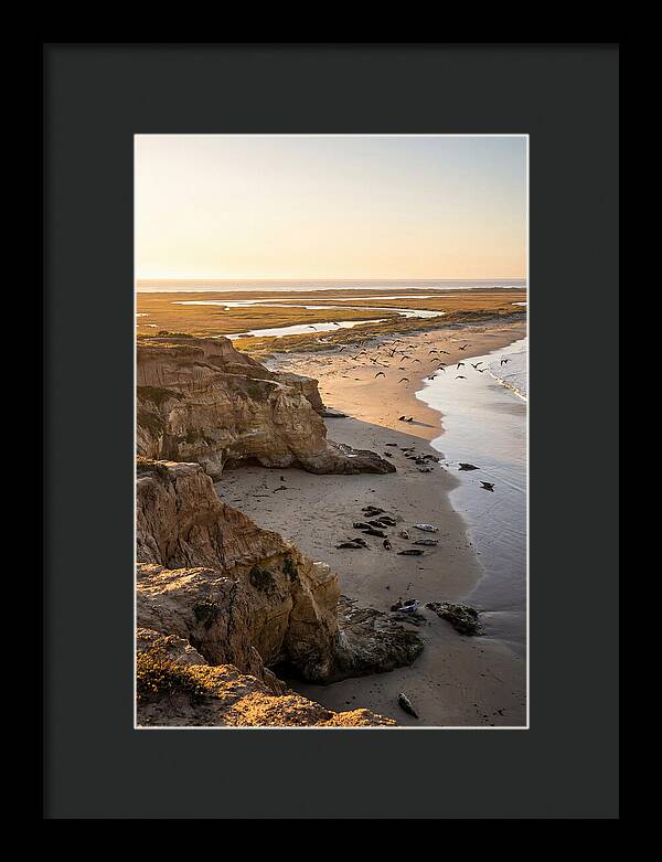 Sachuest Point Serenity