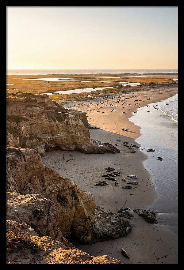 Sachuest Point Serenity
