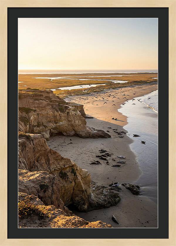Sachuest Point Serenity