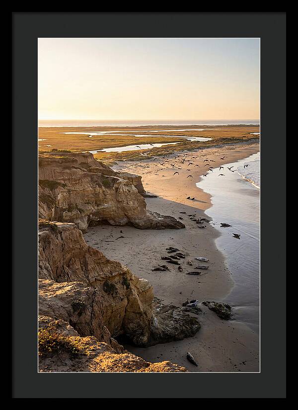 Sachuest Point Serenity
