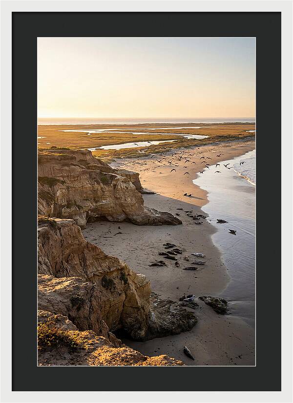 Sachuest Point Serenity