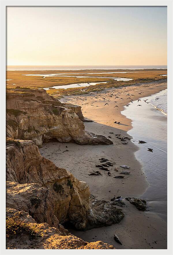 Sachuest Point Serenity