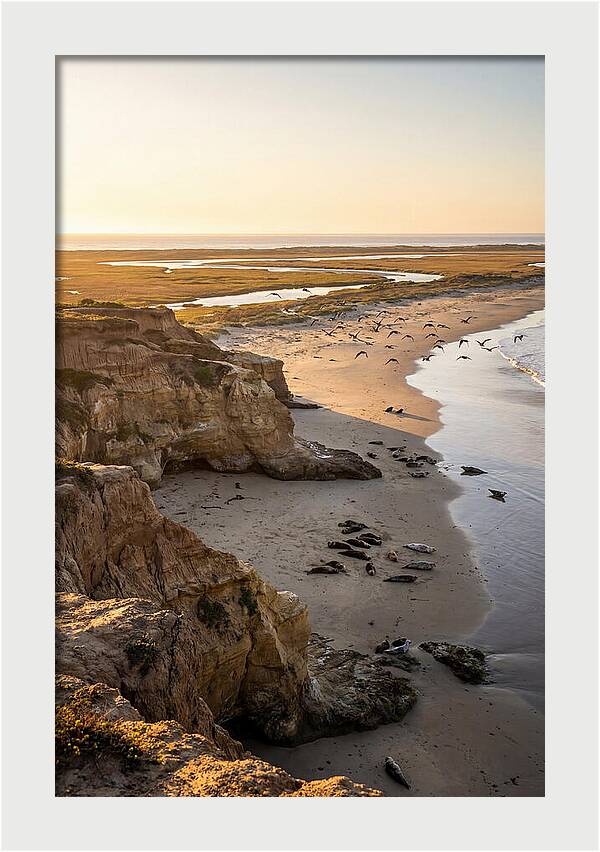 Sachuest Point Serenity