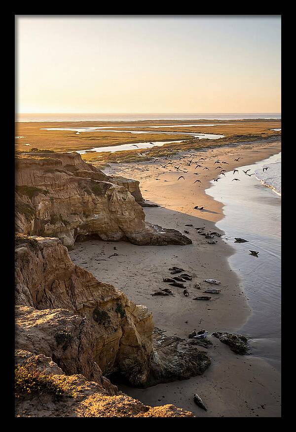 Sachuest Point Serenity