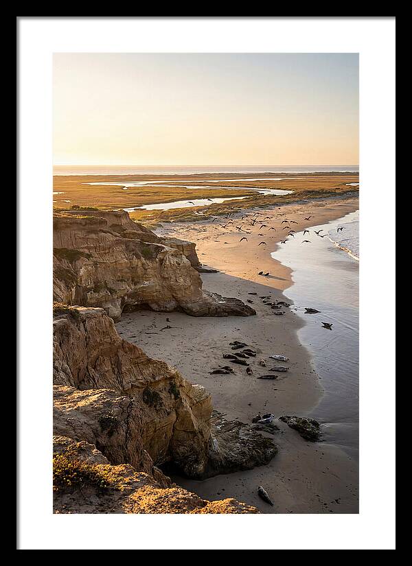 Sachuest Point Serenity