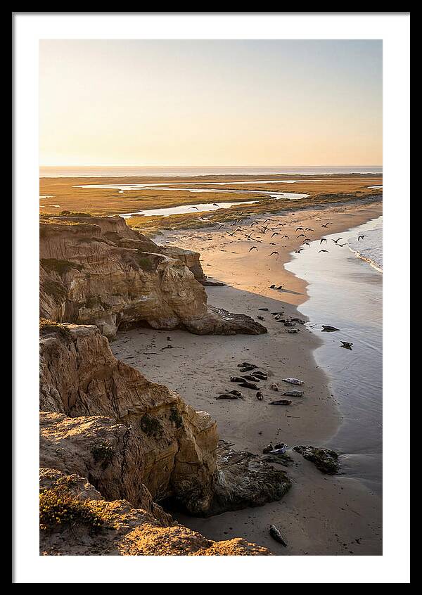 Sachuest Point Serenity