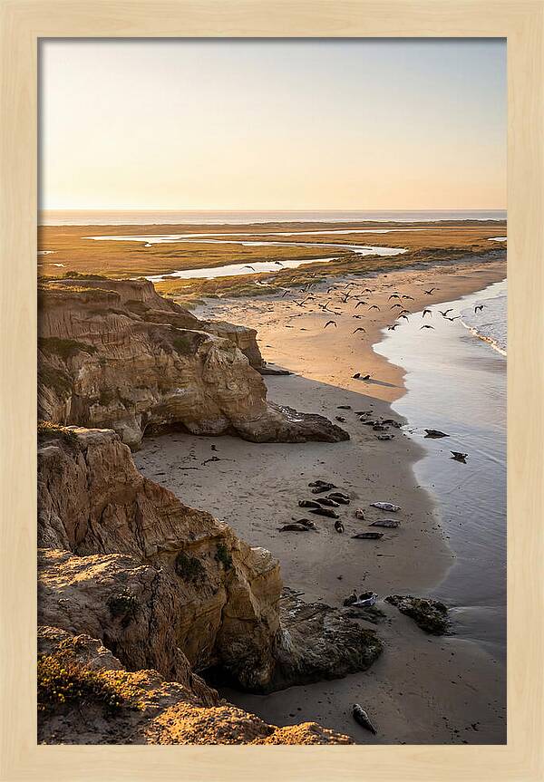Sachuest Point Serenity